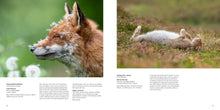 Load image into Gallery viewer, British Wildlife Photography Awards 11
