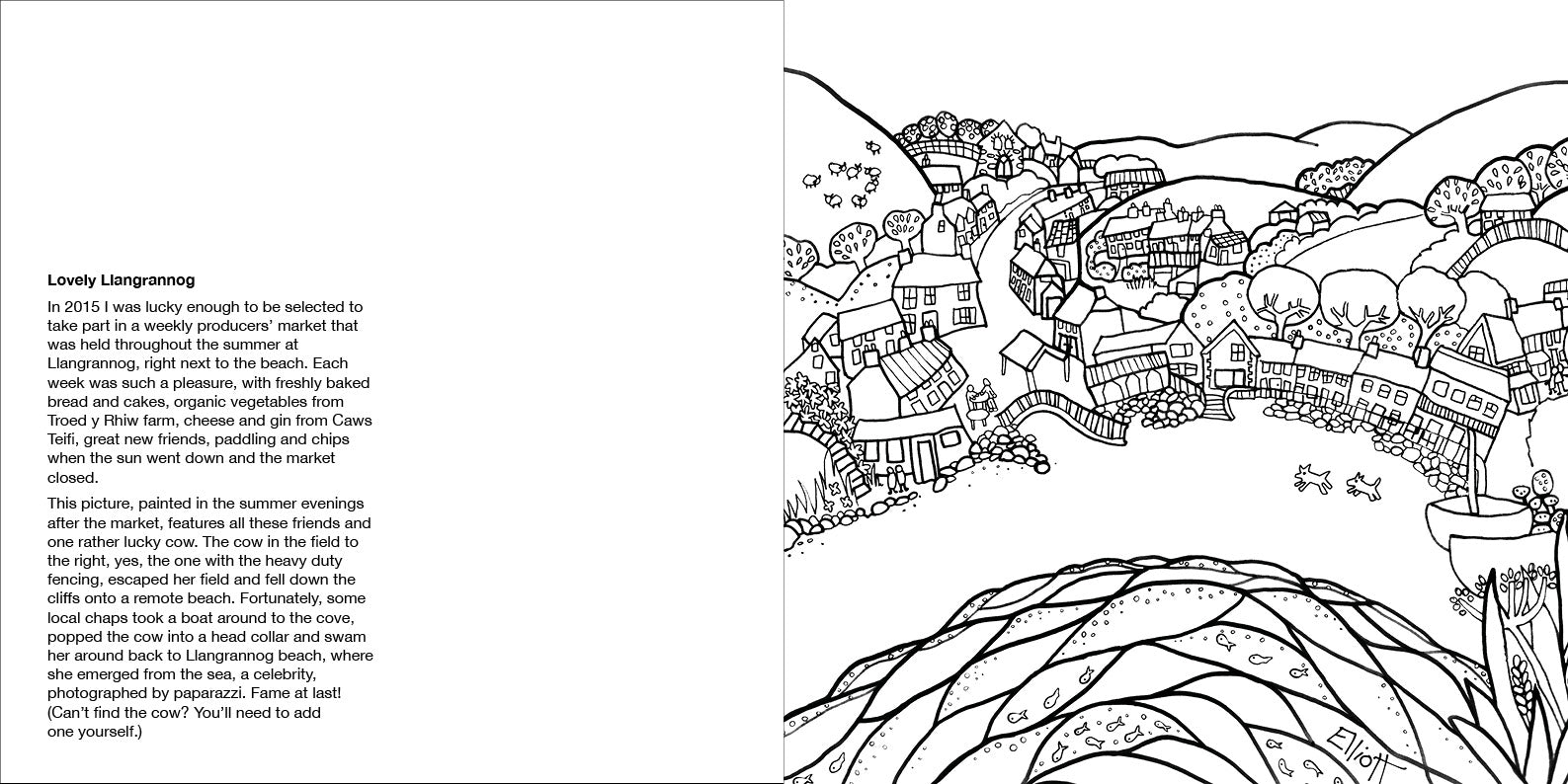 Helen Elliott Beach Life Colouring Book, published by Graffeg, Llangrannog