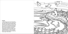 Load image into Gallery viewer, Helen Elliott Beach Life Colouring Book, published by Graffeg, St Brides
