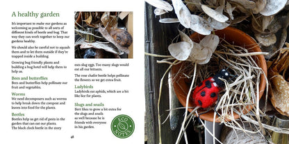 Bert's Garden Celestine and the Hare - Karin Celestine published by Graffeg