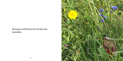 Bert's Garden Celestine and the Hare - Karin Celestine published by Graffeg