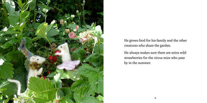 Bert's Garden Celestine and the Hare - Karin Celestine published by Graffeg