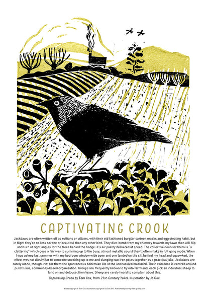 A poster featuring a black and white illustration of a jackdaw by Jo Cox, with elements of a countryside scene, and text extracts from Tom Cox's book '21st Century Yokel