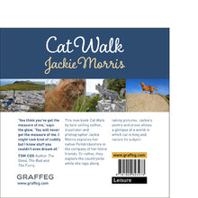 Load image into Gallery viewer, Cat Walk Jackie Morris Tom Cox published by Graffeg
