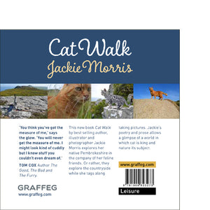 Cat Walk Jackie Morris Tom Cox published by Graffeg