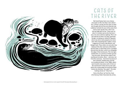 Cats of the River - 21st Century Yokel Poster