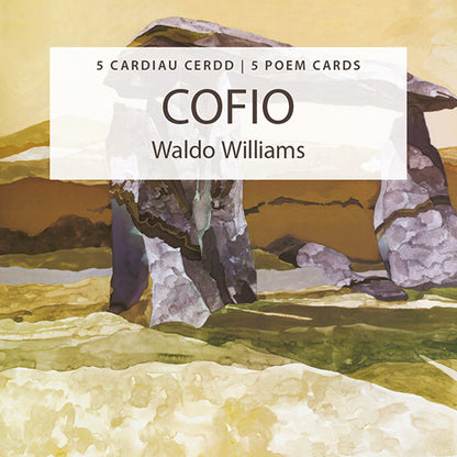 Cofio Greeting Card Pack