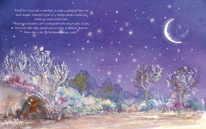 Cynan a'r Ser Fletcher and the Stars Welsh picture book spread published by Graffeg
