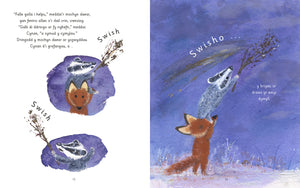 Cynan a'r Ser Fletcher and the Stars Welsh picture book spread published by Graffeg