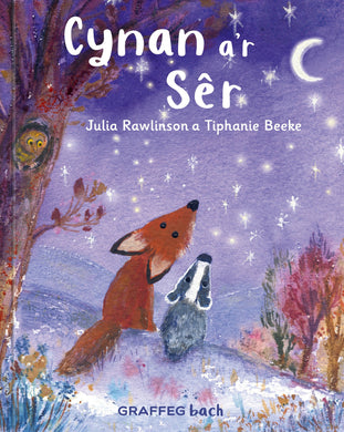 Cynan a'r Ser Fletcher and the Stars Welsh picture book cover published by Graffeg