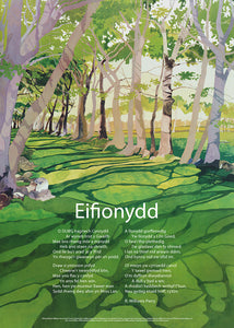 Eifionydd - Poster Poem