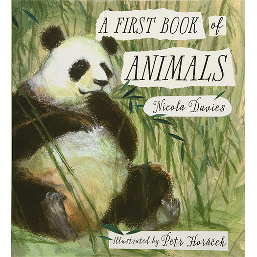 First Book of Animals by Nicola Davies