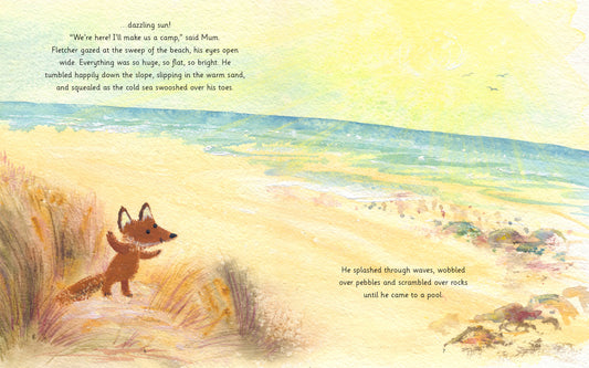 Fletcher and the Rockpool