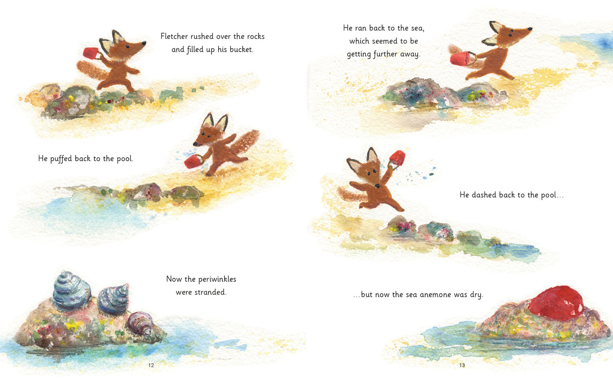 Fletcher and the Rockpool | Children's Picture Book – Graffeg Books