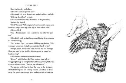 Flying Free by Nicola Davies illustrated by Cathy Fisher published by Graffeg, part of the Country Tales series