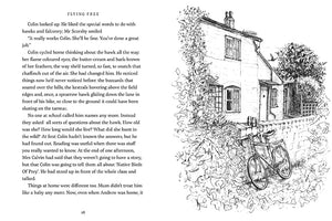 Flying Free by Nicola Davies illustrated by Cathy Fisher published by Graffeg, part of the Country Tales series