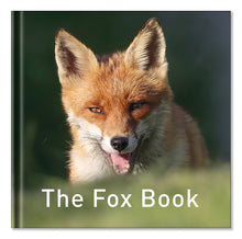 Load image into Gallery viewer, The Fox Book
