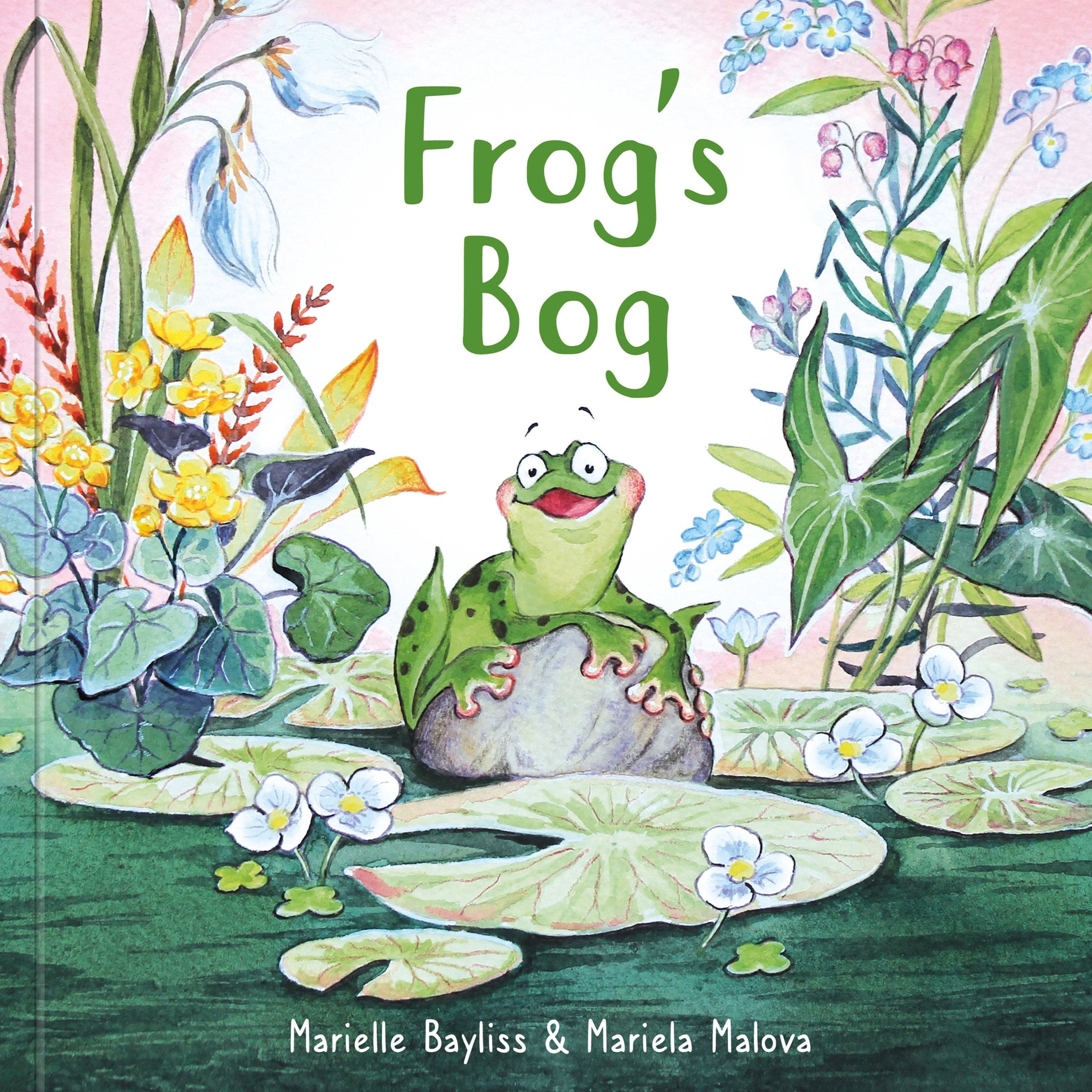 Frog’s Bog – Graffeg Books