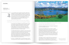 Load image into Gallery viewer, Golf Wales by John Hopkins and Colin Pressdee, published by Graffeg. Holyhead
