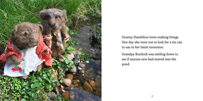 Helping Hedgehog Home by Karin Celestine, published by Graffeg, part of the Celestine and the Hare series