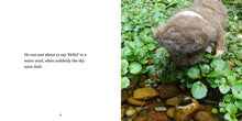 Load image into Gallery viewer, Helping Hedgehog Home by Karin Celestine, published by Graffeg, part of the Celestine and the Hare series
