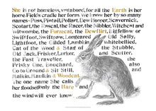 Load image into Gallery viewer, The Names of the Hare Poster

