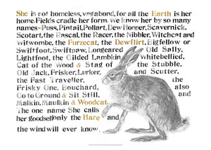The Names of the Hare Poster