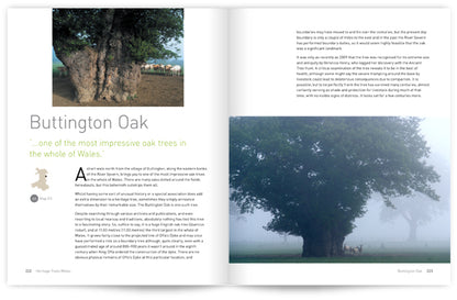 Heritage Trees Wales