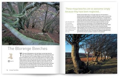 Heritage Trees Wales