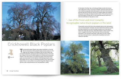 Heritage Trees Wales