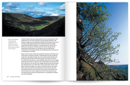 Heritage Trees Wales