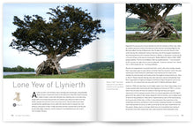 Load image into Gallery viewer, Heritage Trees Wales
