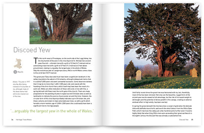 Heritage Trees Wales