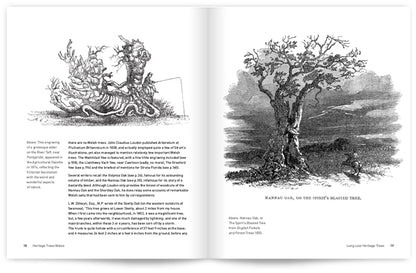 Heritage Trees Wales