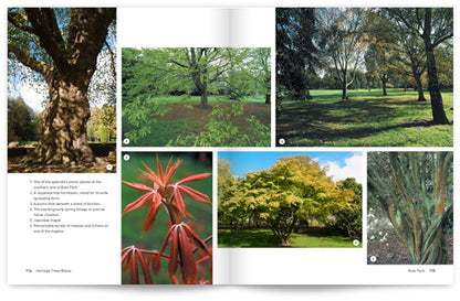 Heritage Trees Wales