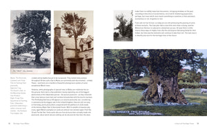 Heritage Trees Wales - Second Edition