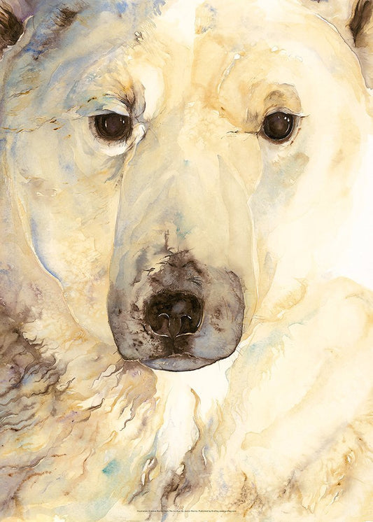 Ice Bear Poster