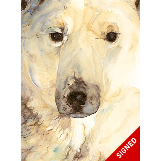 The Ice Bear (Signed Artist edition)