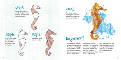 Into the Blue How to Draw, by Nicola Davies, illustrated by Abbie Cameron, published by Graffeg. Seahorse