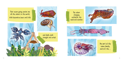 Invertebrates are Cool!