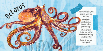 Invertebrates are Cool!