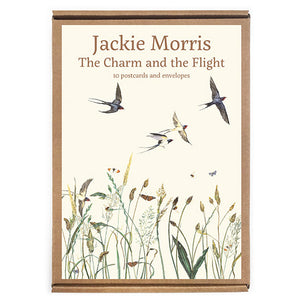 The Charm and the Flight Postcard Pack
