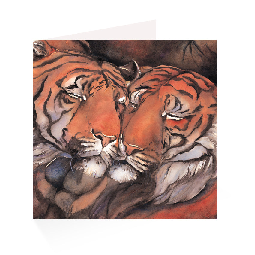 Jackie Morris Tigers Greetings Cards