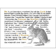 Load image into Gallery viewer, The Names of the Hare Poster

