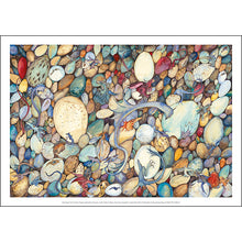 Load image into Gallery viewer, Hatchlings - Jackie Morris Poster
