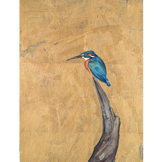 Jackie Morris Limited Edition Print: Kingfisher