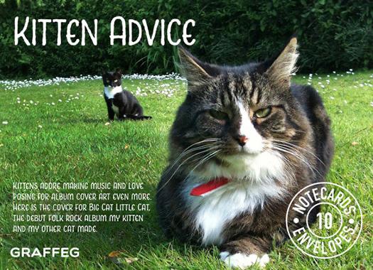 Kitten Advice Notecard Pack