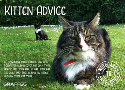 Kitten Advice Notecard Pack
