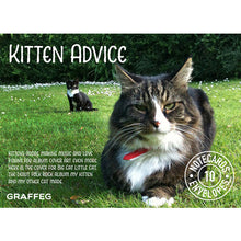 Load image into Gallery viewer, Kitten Advice Notecard Pack
