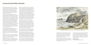 kyffin williams painting book foreword by david wynn meredith and Llanbadring painting